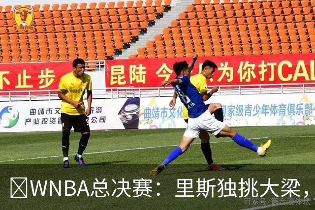 🔥WNBA总决赛：里斯独挑大梁，梦想队主场反弹平局！